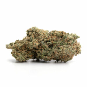 Buy Girl Scout Cookies Strain Online