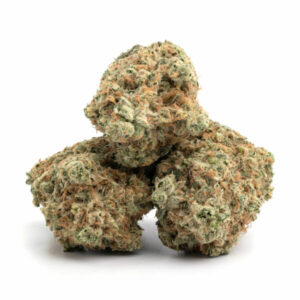 How Much Are Girl Scout Cookies 2025