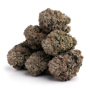 buy Grand Daddy Purple Strain online