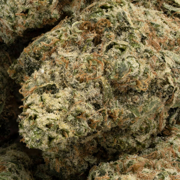 Super Pineapple Haze – Farmers GoldStandard