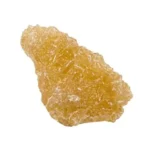 Champagne MDMA