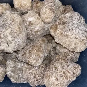 Champagne MDMA